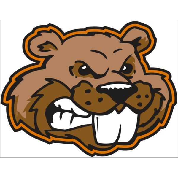 AR BEAVER 11 RC Thumbnail